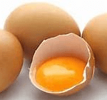 egg skin
